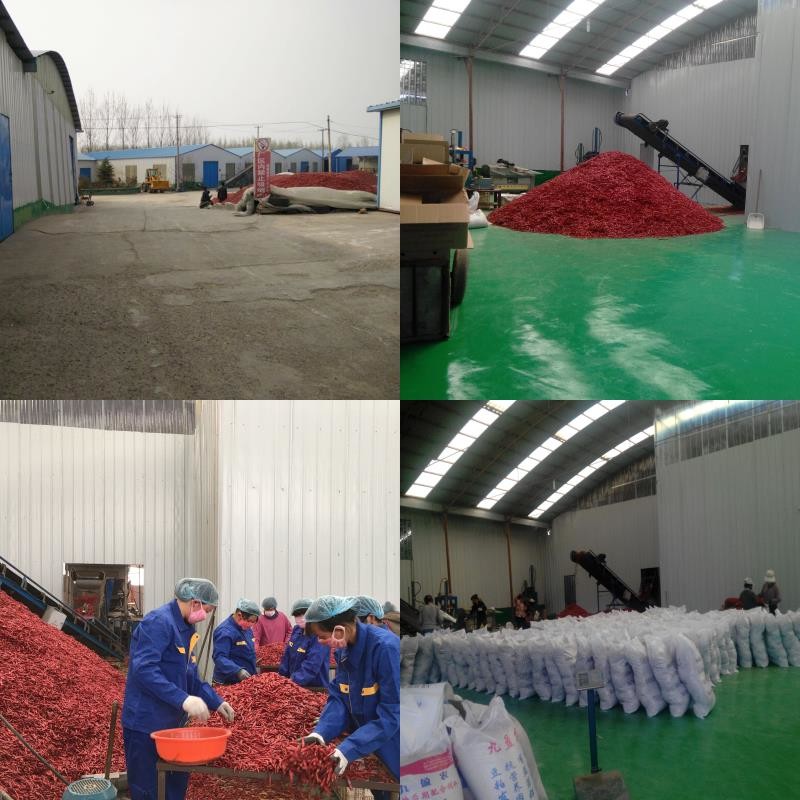 中国 Neihuang Xinglong Agricultural Products Co. Ltd 会社概要