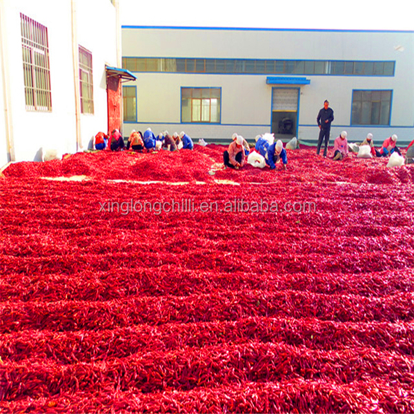 工場価格の別のASTAの指定の乾燥された赤いパプリカのチリ パウダー