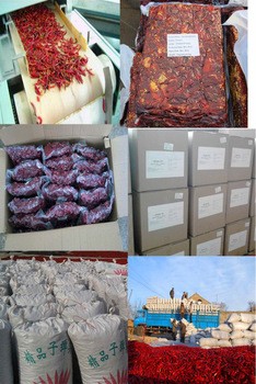 中国の最もよい質によって乾燥されるsanyngの唐辛子の熱い赤唐辛子