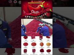 スパイス工場 03