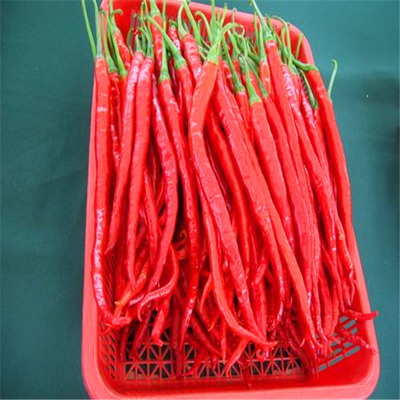 本物のチリペッパー エルジングティアオ 8~12%の湿度と空気乾燥で乾燥したチリ