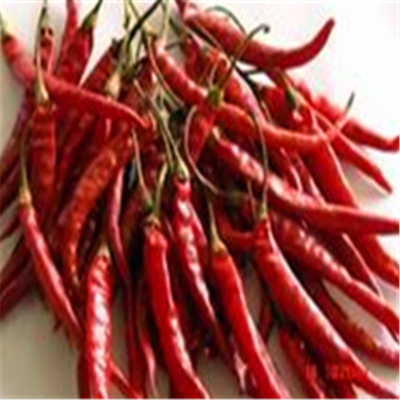 根 の ない 成分 を 含ん で 乾燥 さ れ た 紅 ちびまる と 料理 に 辛味 を 添え て ください