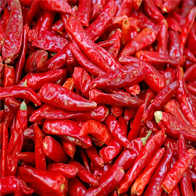 根 の ない 成分 を 含ん で 乾燥 さ れ た 紅 ちびまる と 料理 に 辛味 を 添え て ください