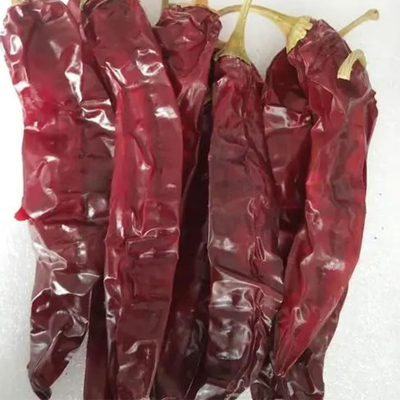 薄い チリ 粉 で 料理 を 調味 する