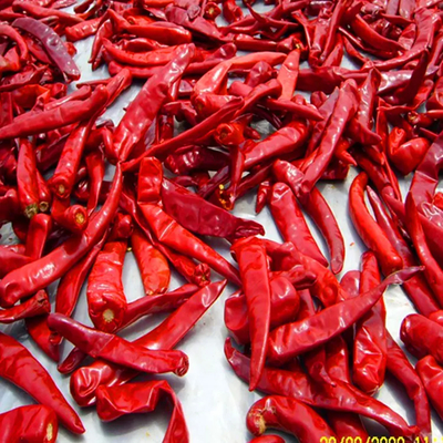 10kg 単位重量 湿度最大12%のチリ