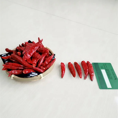 円形 天津 レッド チリ 100g 美味しい中国料理を作るための食堂用品