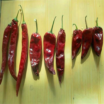乾燥した辛口の胡??  essentials chili ingredients 料理にキックを加える