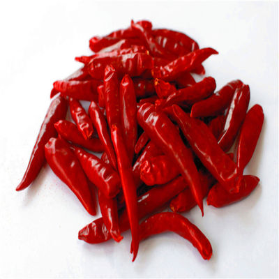 Stemless全体によって乾燥される赤い20000SHU単一のハーブをチリ ペッパー