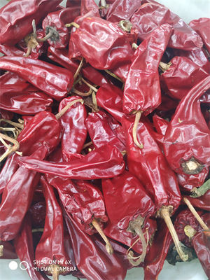 乾燥された赤いチリのポッドを等級別にするために止められる5000SHU穏やかな乾燥された唐辛子