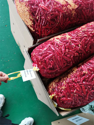 中国のレストランのMapo Toufuのための中国語によって乾燥されるチリ ペッパー