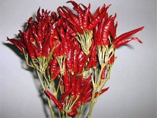 Stemless中国の乾燥されたチリ ペッパーは819高いSHU熱い唐辛子を乾燥した