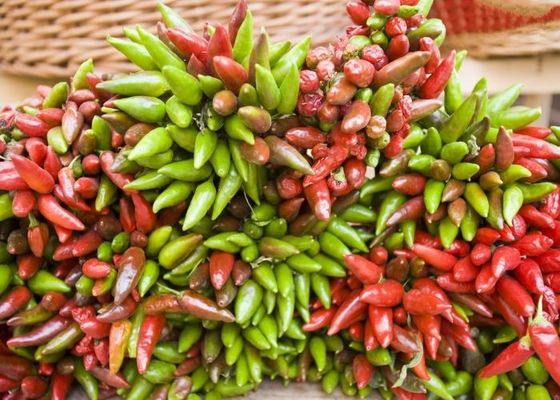 煮物 に 用い られる ビタミンC が 多く ある 乾燥 し た 円形 型 鳥 の 目 の チリ