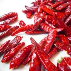 中国の乾燥された赤いチリ ペッパーChaotian Szechuanは唐辛子のゼロ添加物を乾燥した