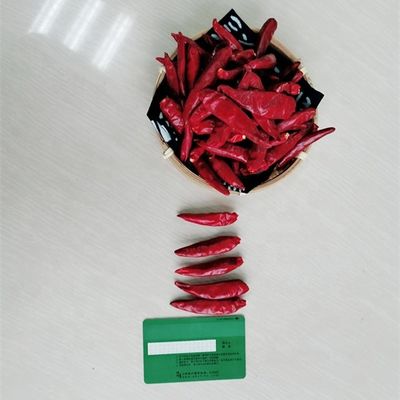 中国の乾燥された赤いチリ ペッパーChaotian Szechuanは唐辛子のゼロ添加物を乾燥した