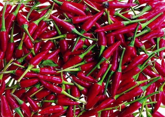 天津 の 赤 の チリ 中国 から 発酵 さ れ た 本物 の 辛口 の 味