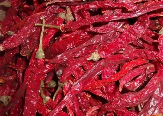 本物のチリペッパー エルジングティアオ 8~12%の湿度と空気乾燥で乾燥したチリ