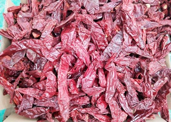 棒メキシコGuajilloは220 ASTA Guajilloの唐辛子14%の湿気を乾燥した