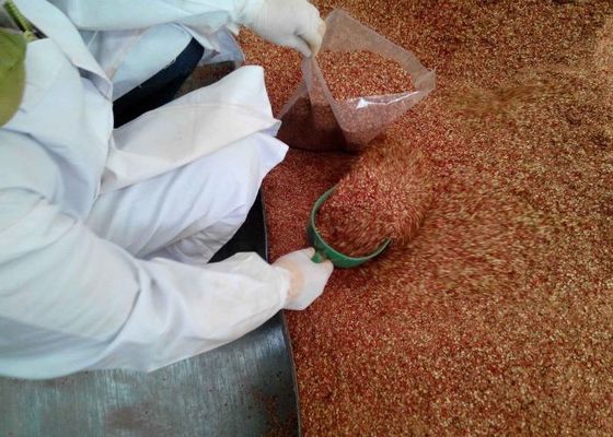 押しつぶされたStemless乾燥された赤い唐辛子は香辛料1mm 12%の湿気の食糧はげる