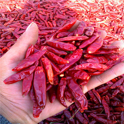 Tientsinは15000SHUがぴりっとする赤いパプリカの水分を取り除いた赤いチリ ペッパーを乾燥した