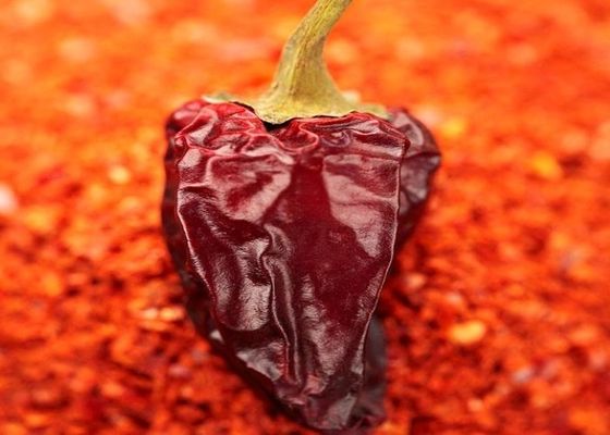 100 Scovilleの甘い唐辛子のバーベキューの粉に味をつける10のPPBのチリ パウダー