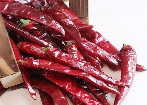 天津 の 赤 の チリ 中国 から 発酵 さ れ た 本物 の 辛口 の 味