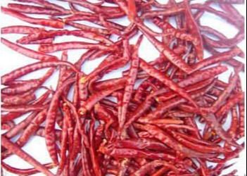 30000SHU中国の乾燥されたチリ ペッパーの刺激性の赤い唐辛子のポッドの熱い風味がよい