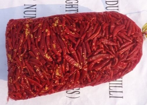 7CMは10000SHUが長く赤い唐辛子を乾燥したアジア チリ ペッパーを乾燥した