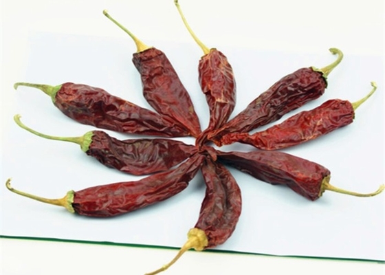 全身 / 棒 10-15cm 長さ 乾燥したグアジロチリ 煮物用