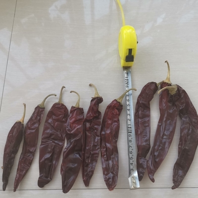 全身 / 棒 10-15cm 長さ 乾燥したグアジロチリ 煮物用