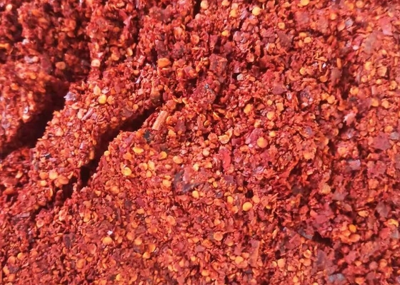日干しにした押しつぶされた熱い唐辛子の薄片を油をさした赤い殺菌したPIZA及びKomichiにチリ ペッパー