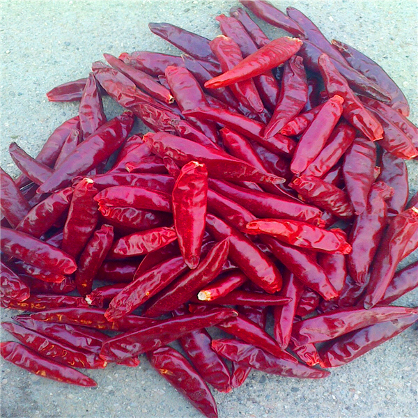 HACCP 中国製 乾燥したチリペッパー 栄養情報 ビタミンCが豊富 長さ4~14cm