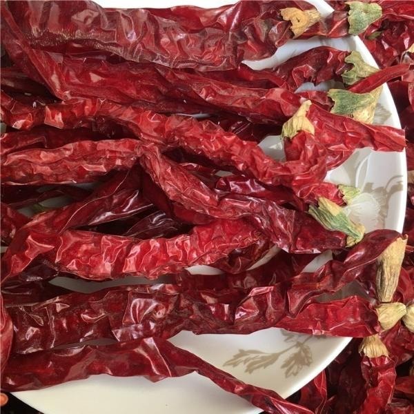 乾燥唐辛子の熱さを体験してください。強烈な辛味は、涼しく乾燥した場所での保管に。
